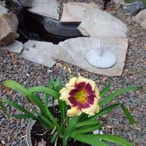 Meet your Posher, Cyndi